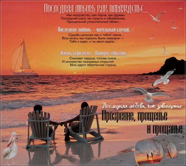 лепестки ромашки летят. опавший цветок. лепестки красных роз. любви последней лепестки. ромашка с опавшими лепестками.