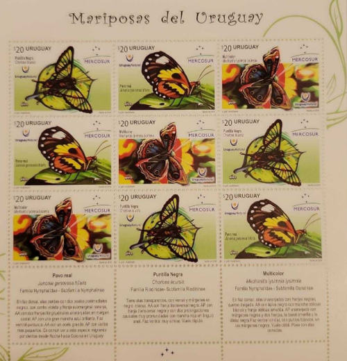 00p-URUGVAI---BABOCKIa42c582cf2279a57.png