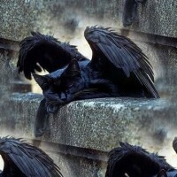 1bc2a72cfa23c021768df3a06147d72beb7e8d08dbb720e3