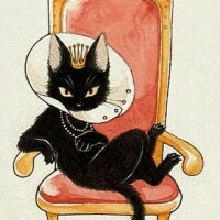 43d70fc9e7c0d752423ad04457ea2287b8f56c78750aeadf