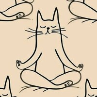 563ff99518eb6579cd645bfdc8e0e2d9bc9fb3b3968e66ed