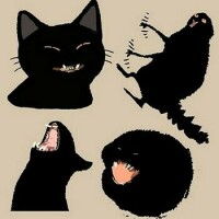 7b6dd2e1924403ae8475d86a469f0fc7f20c9cfdd9ceb45e