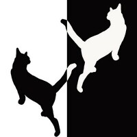 c5f2ad6c1c3aeefd3b7a03a8b89f273b1a46667daad7d062