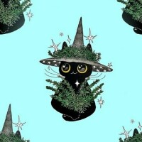 e63f15d606fce6b770c5e75f7611a2ee62e607800f1f6893