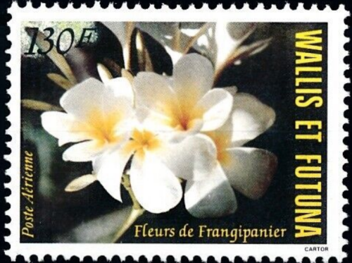 1aaka-qaUOLLIS-I-FUTUNA-1984-FLORA-TVETY60c10cb9bda9521f.png