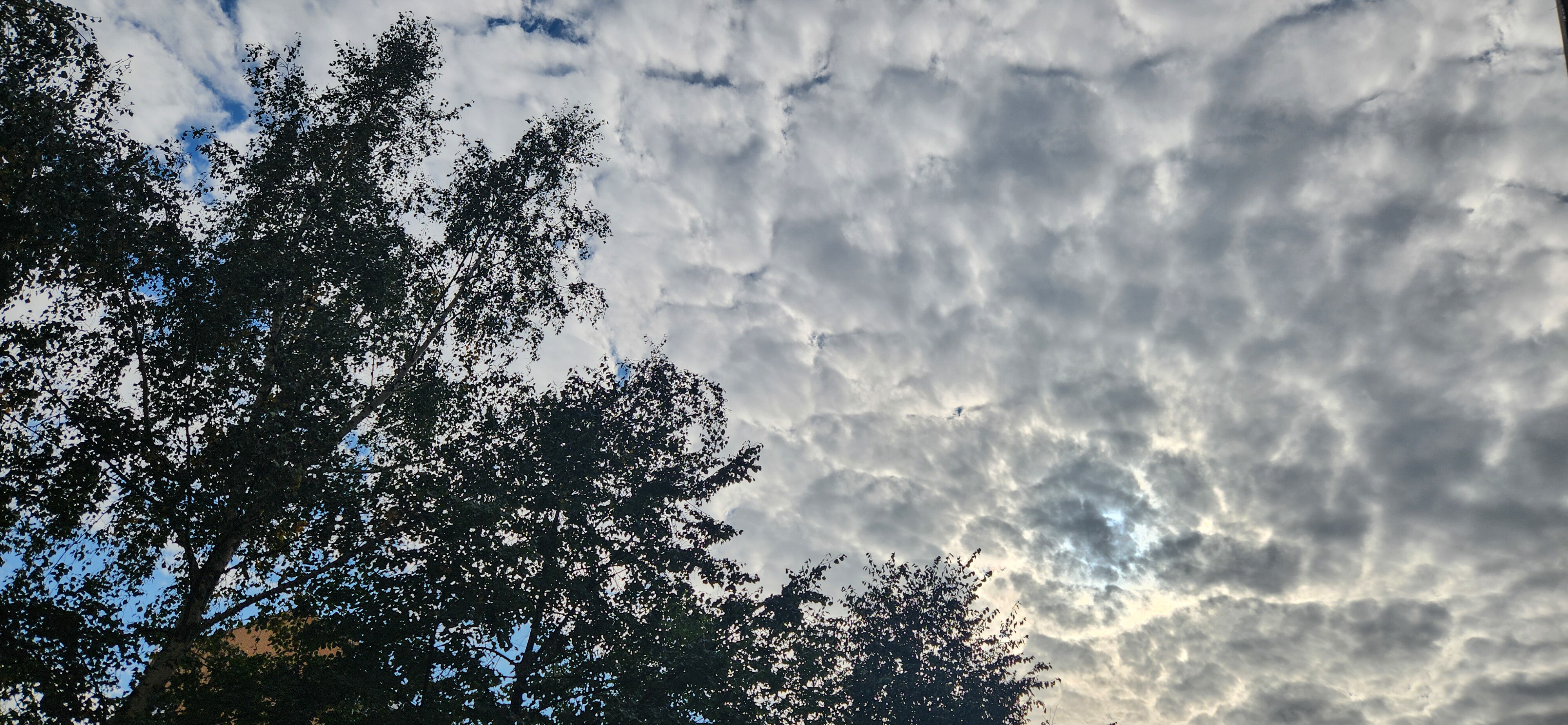 ХИМЧАТА 2025 20250916 100415 ХИМЧАТА 2025 20250916 100415