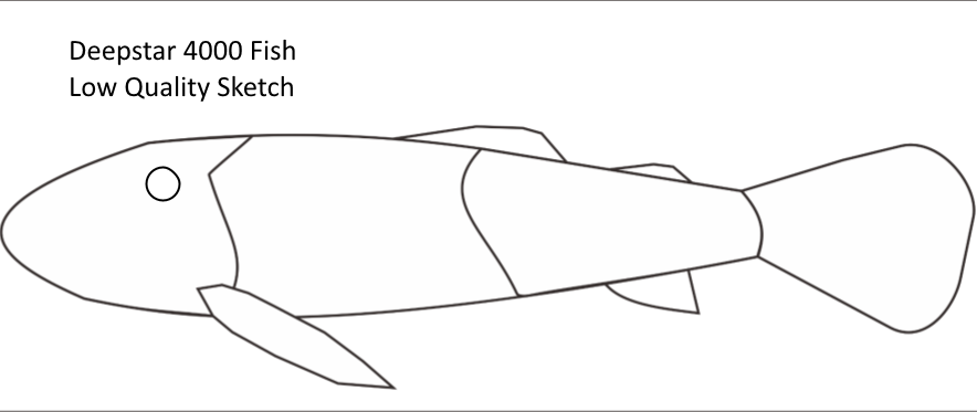 https://s1.radikal.cloud/2025/10/22/Deepstar-4000-fish-sketchee88c0625d970fed.png