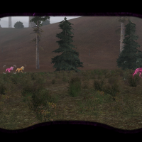 The law of the Hat 13