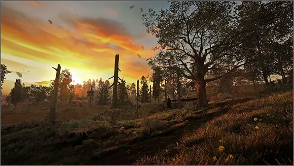 Anomaly Custom - News 30.10.25