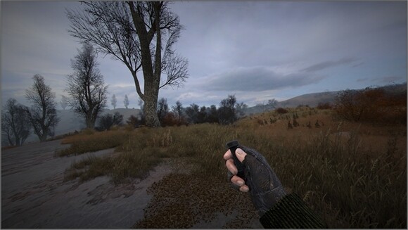 Грань: Новая Жизнь - News 23.11.25