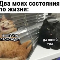 0d19bb1bd350f47d66a43eb7534ff9e270365b20