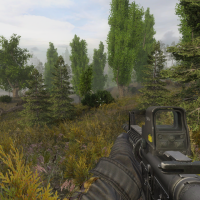 Grass on locations Autumn Aurora 2