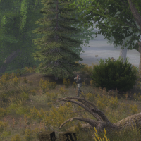 Grass on locations Autumn Aurora 8