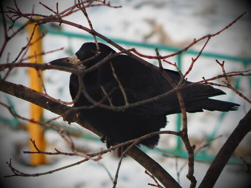 На парапете