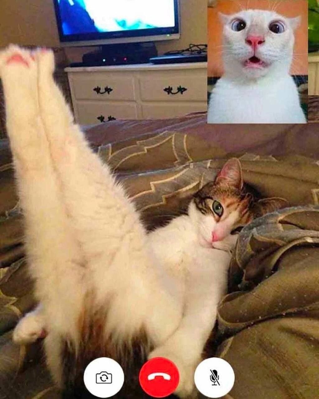 IMG_20251227_095900_6694e734e8d0e6421a2.