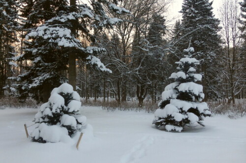 Зимний ЦПКиО