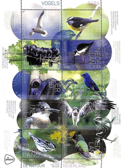 000---NIDERLANDY-2026-PTITY-S-SABY3d5ffa571aa77a5f.jpg