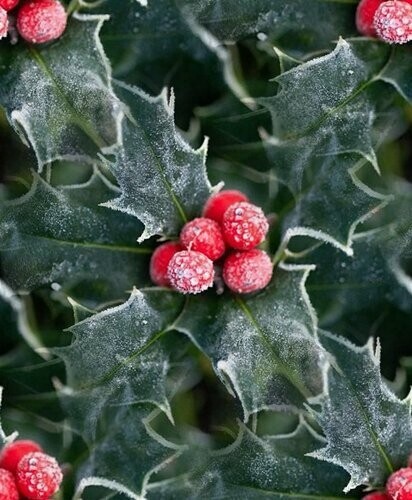 6deb26822499c2ab537b1492e45aa96c