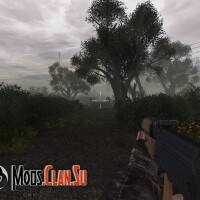 The history of the Seasoned 10