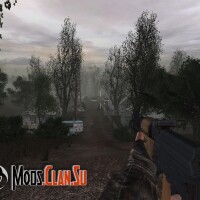 The history of the Seasoned 5