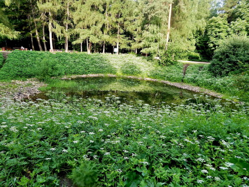 Летом в Кусково