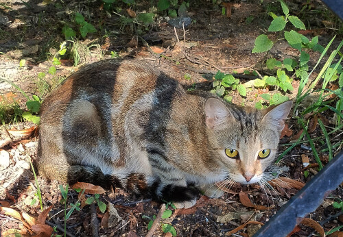 в глаза смотреть
