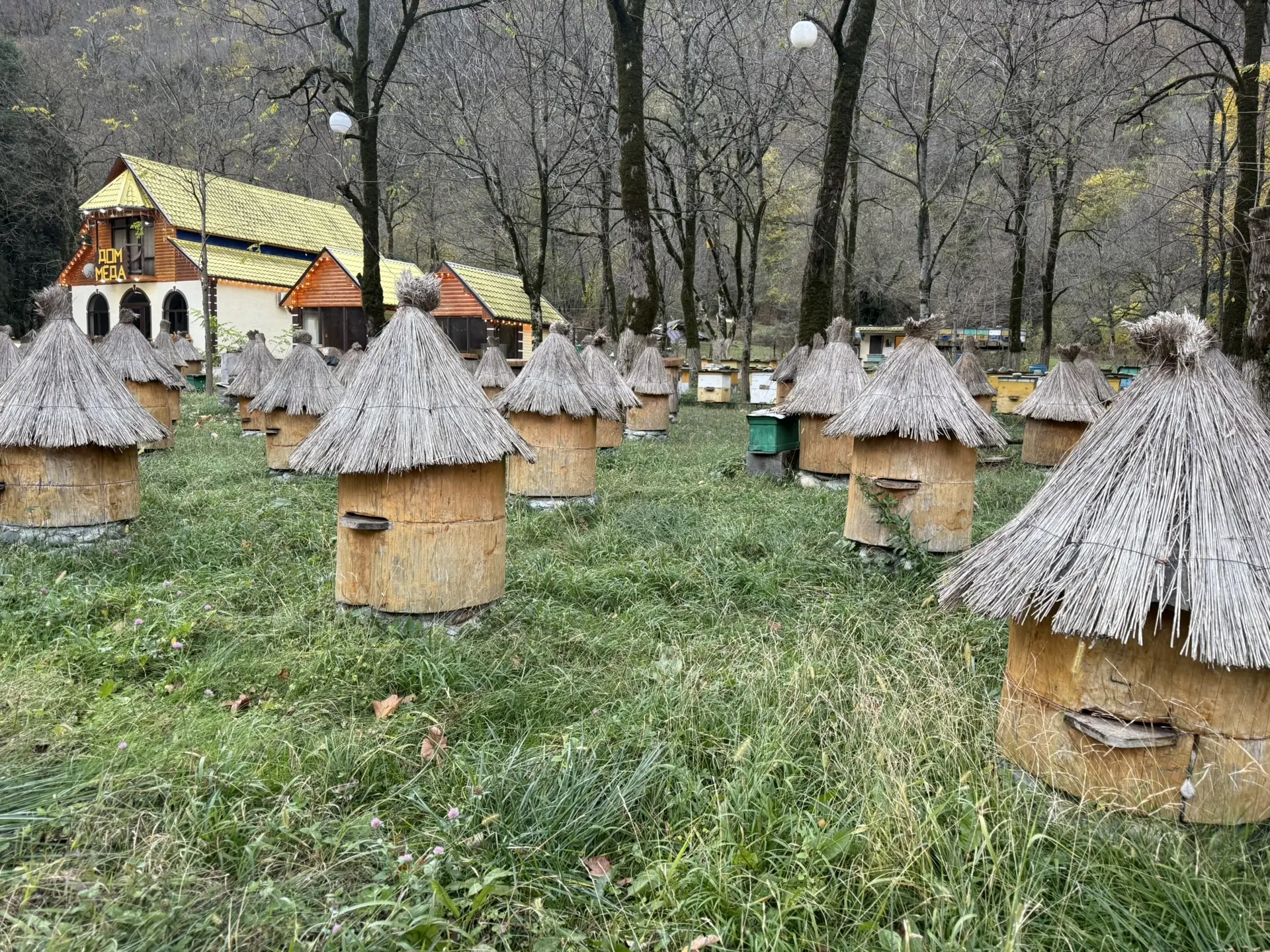 Живописные виды Абхазии