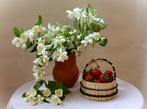 июньский натюрморт