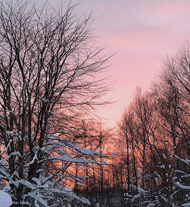 ����������� (3)