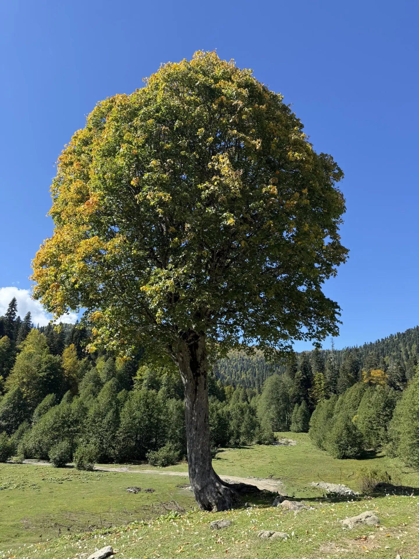 Красивые места для посещения
