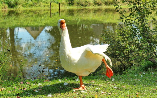 занятие гимнастикой