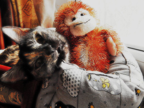 ..." А если это любовь?" ))