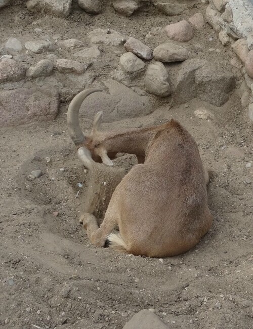 Песочная ванна