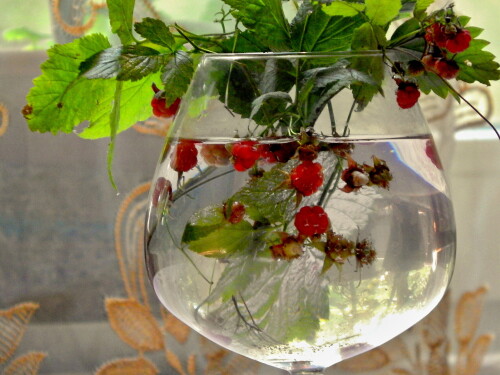 "Малиновый "натюрморт