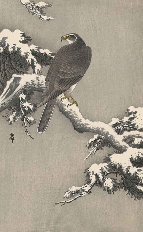 kic-Ohara-Koson-Eagle8de175a3c3889834.jpg