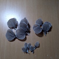 IMG 20260316 001504 632