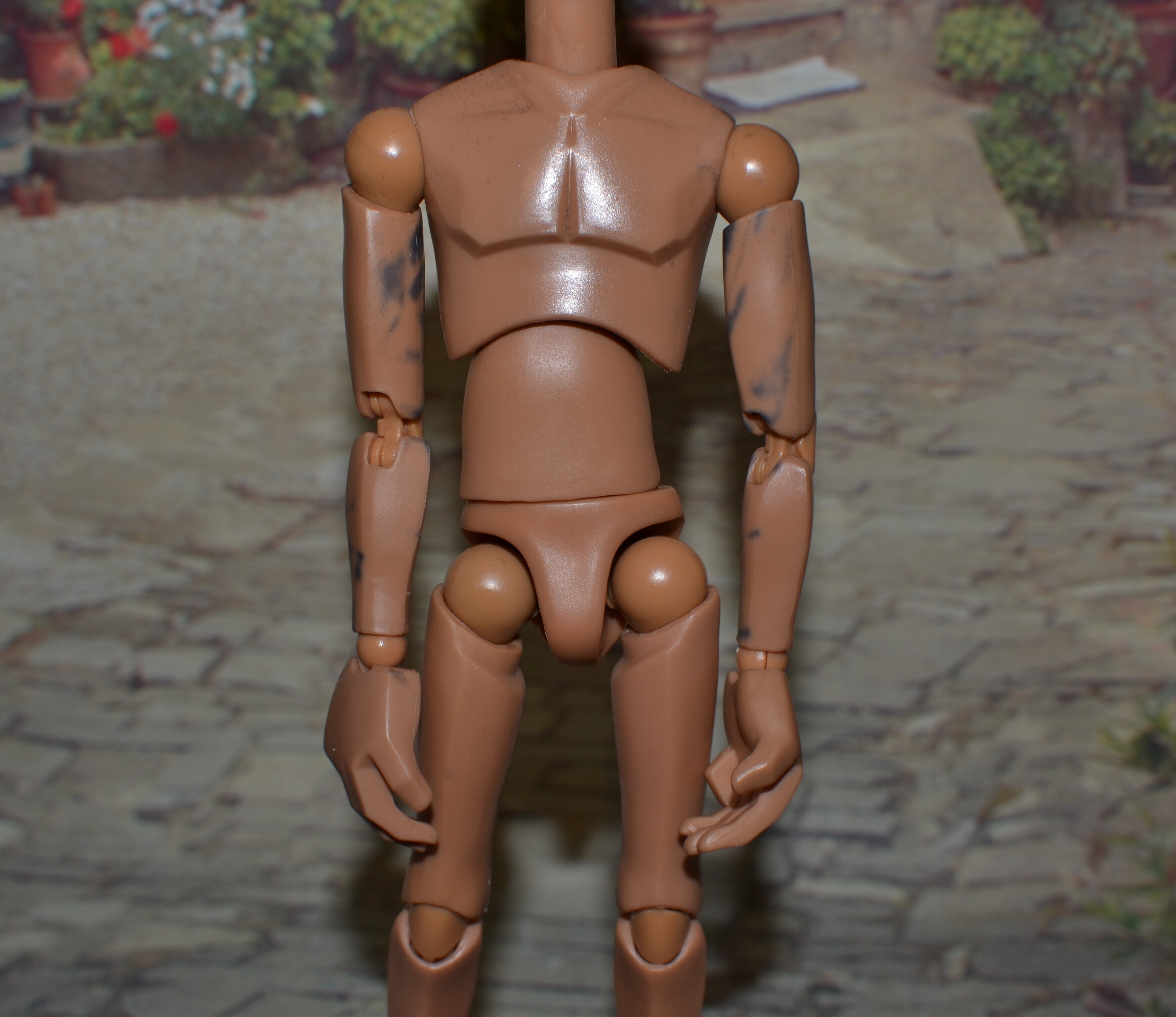 DSC 0100