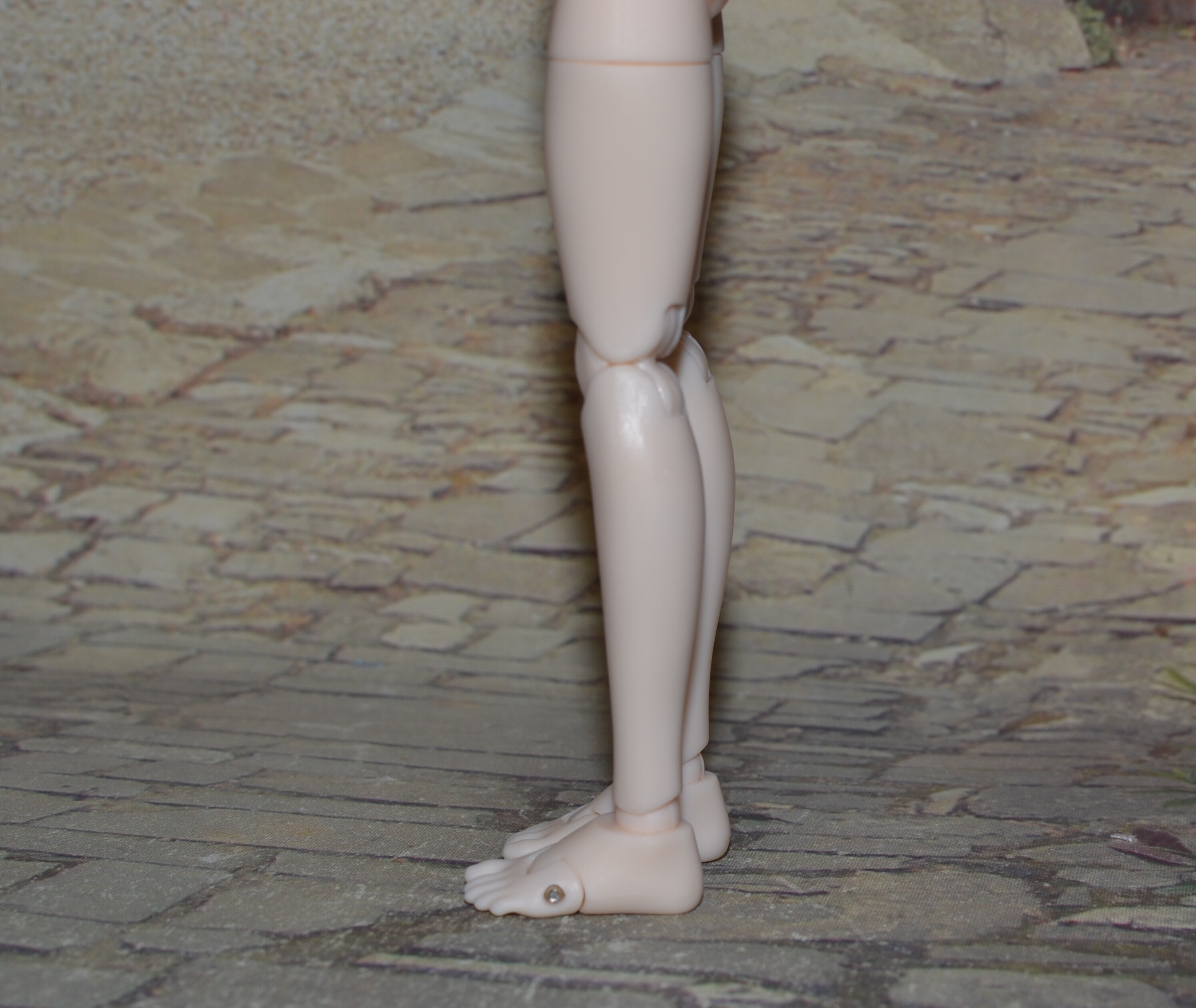 DSC 0151