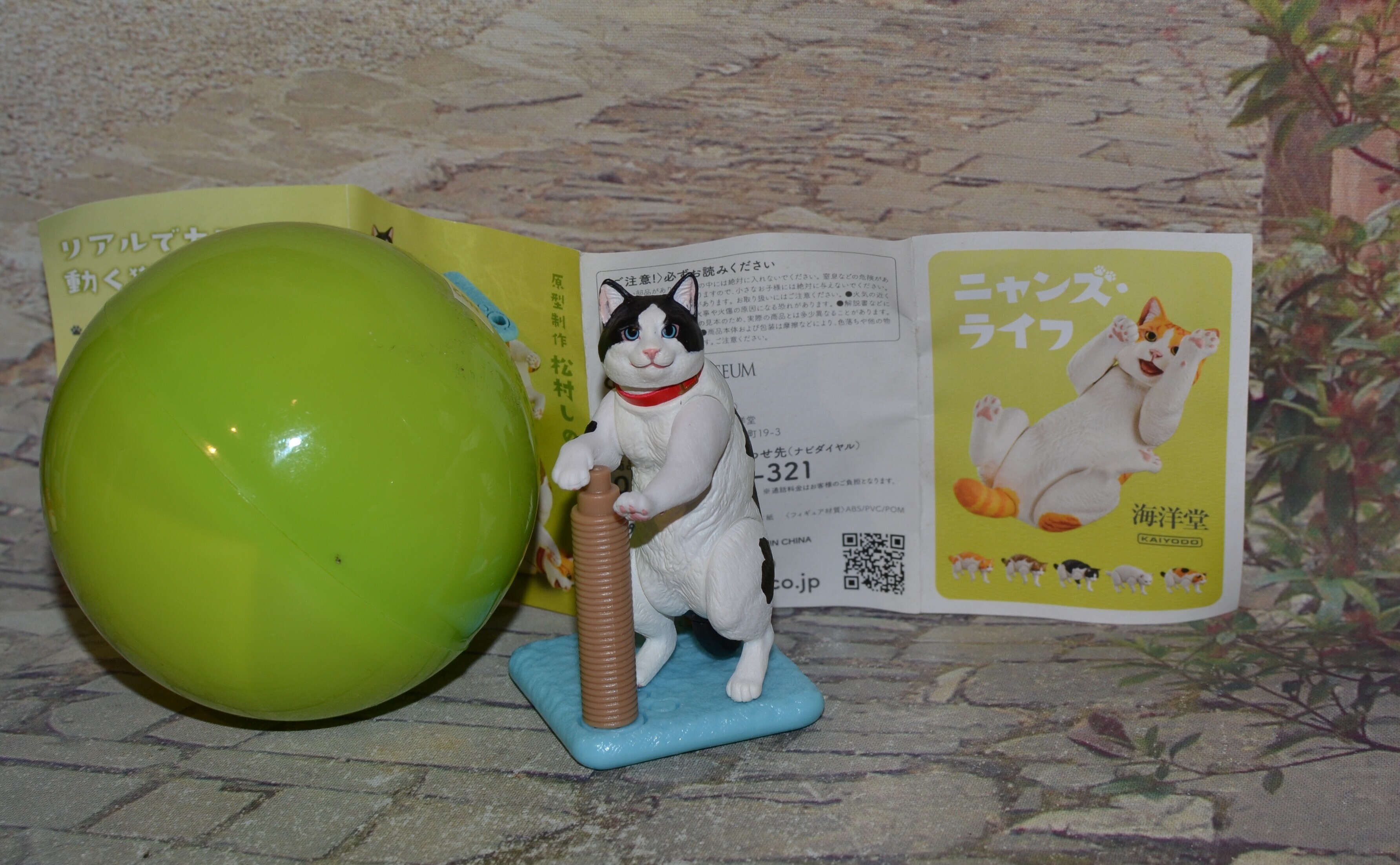 DSC 0045