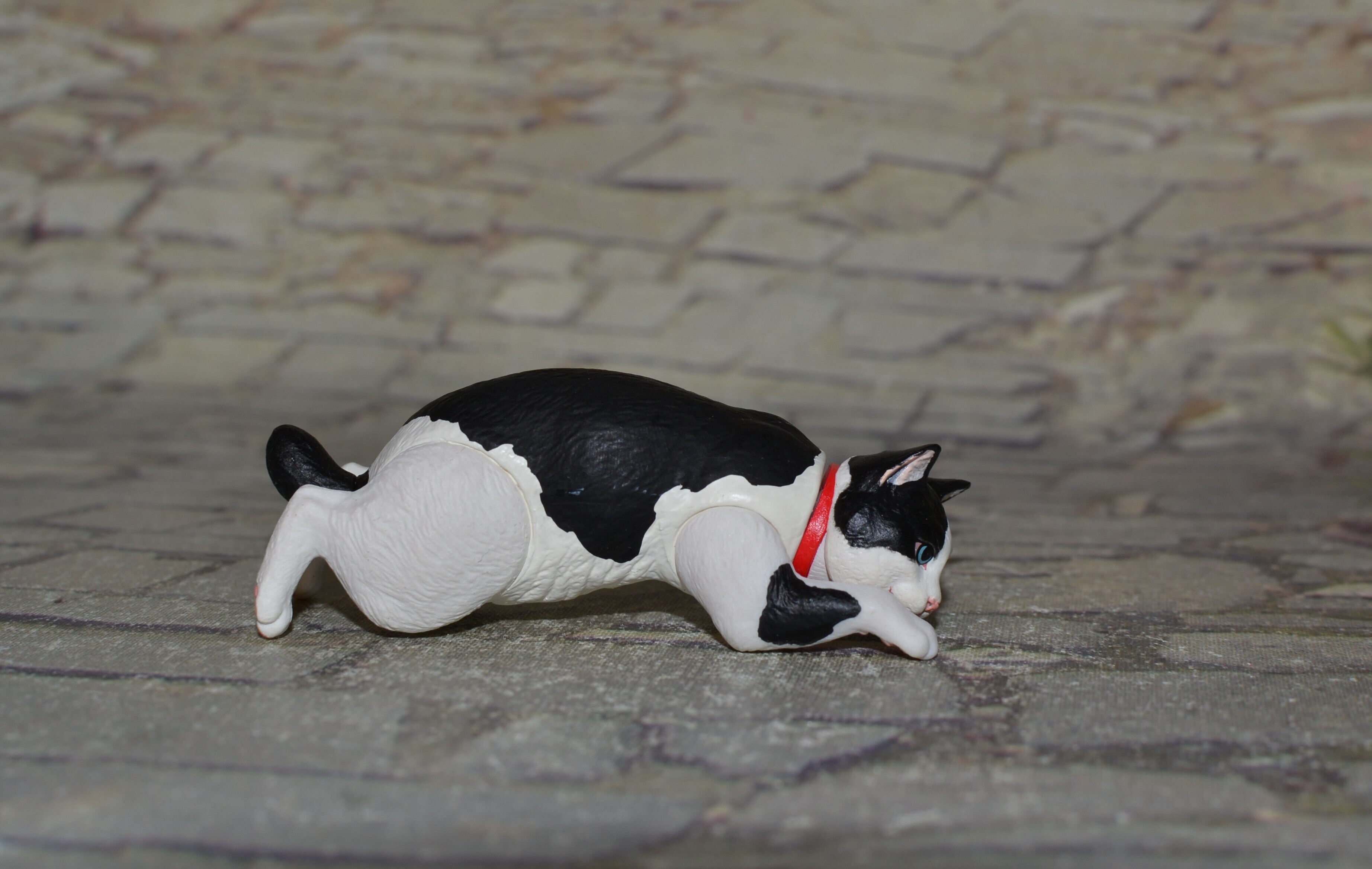 DSC 0060
