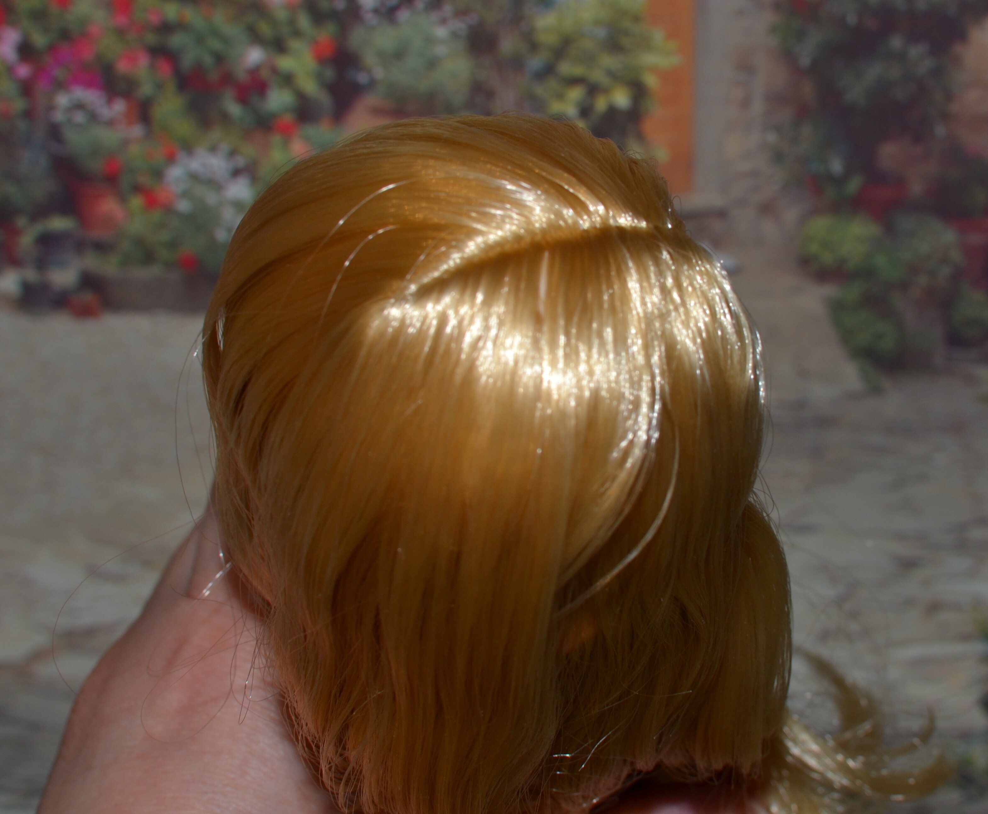 DSC 0527
