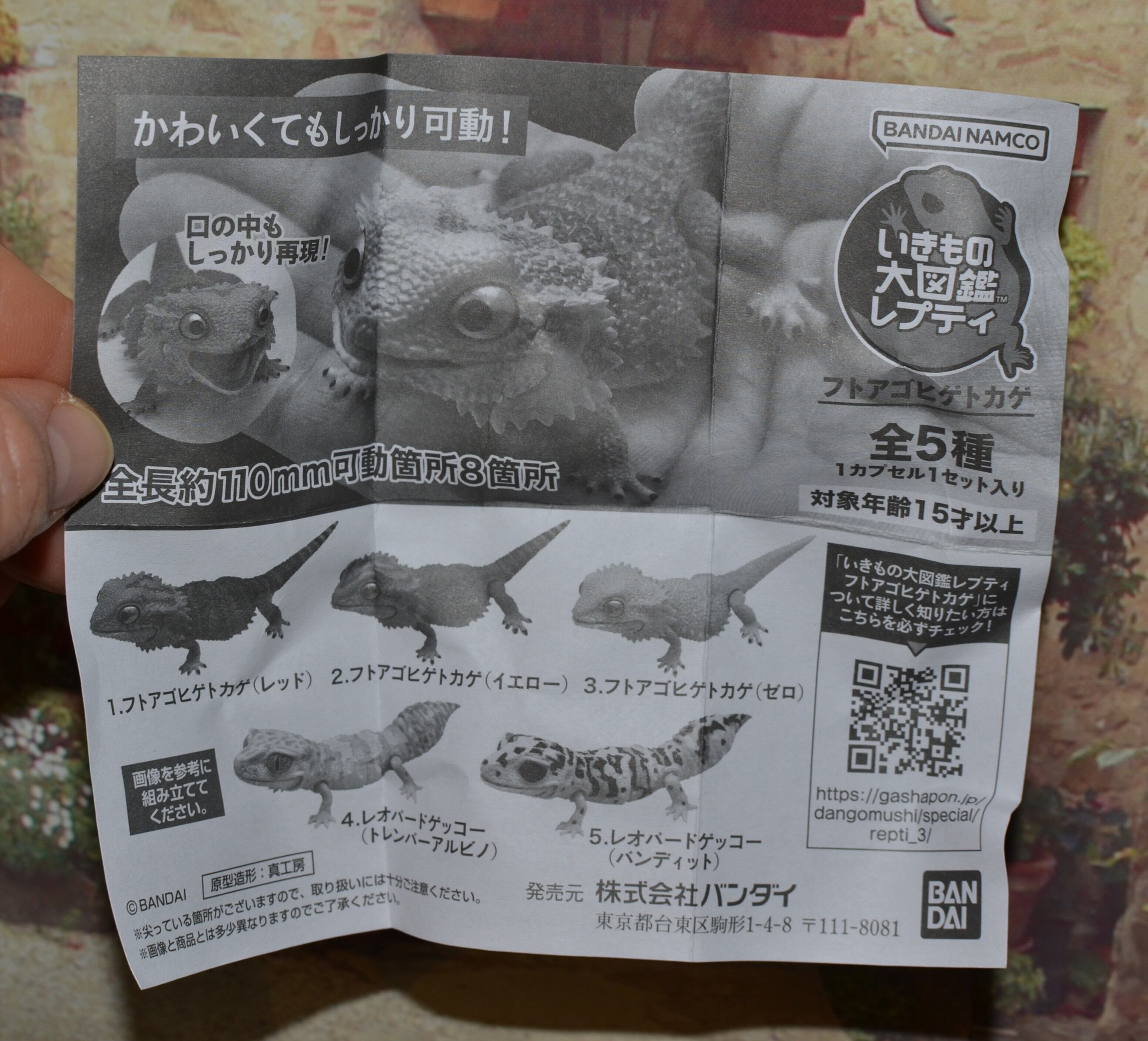 IMG 20250602 172802