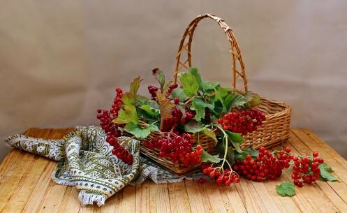 с калиной