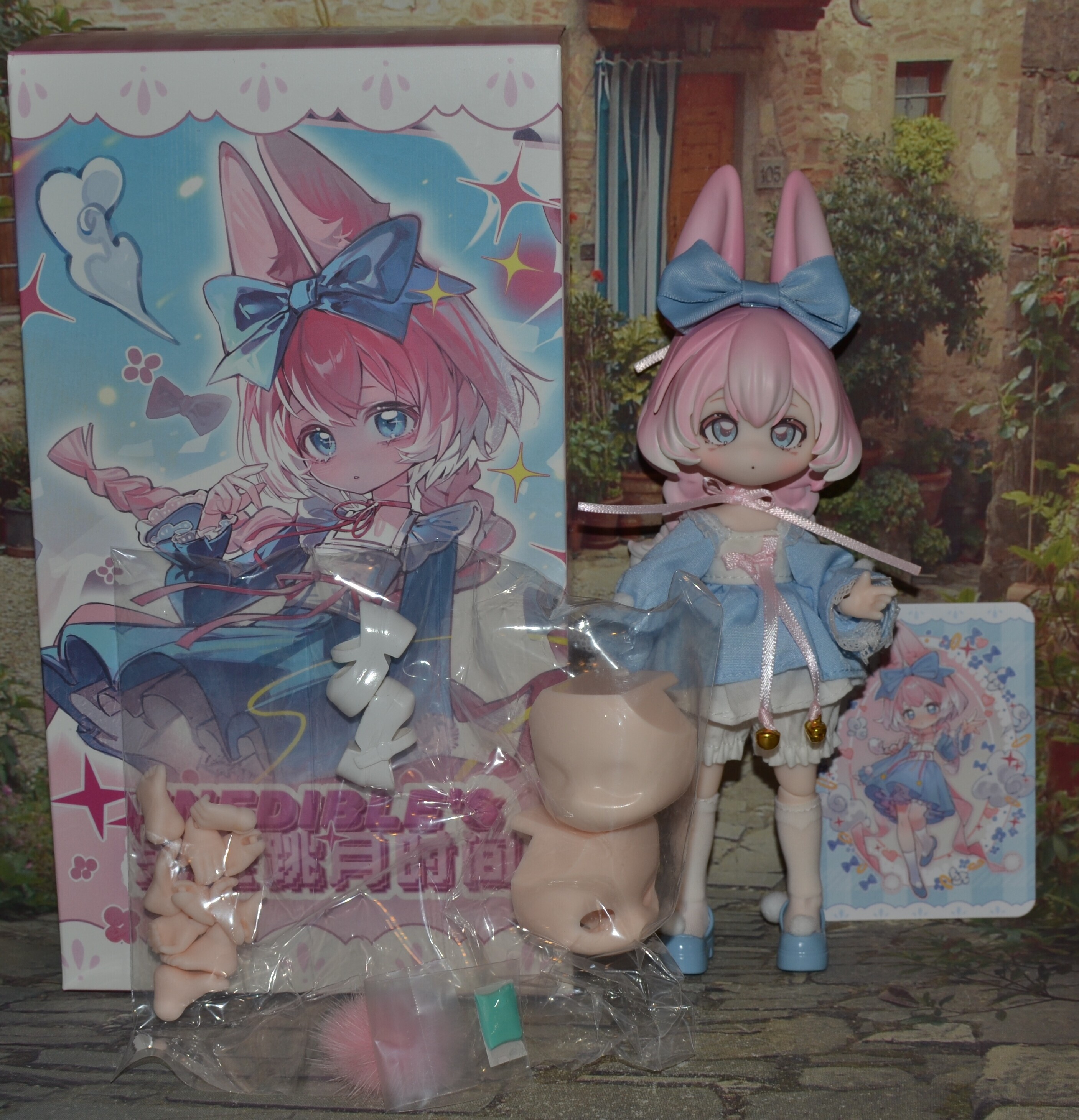 DSC 0119