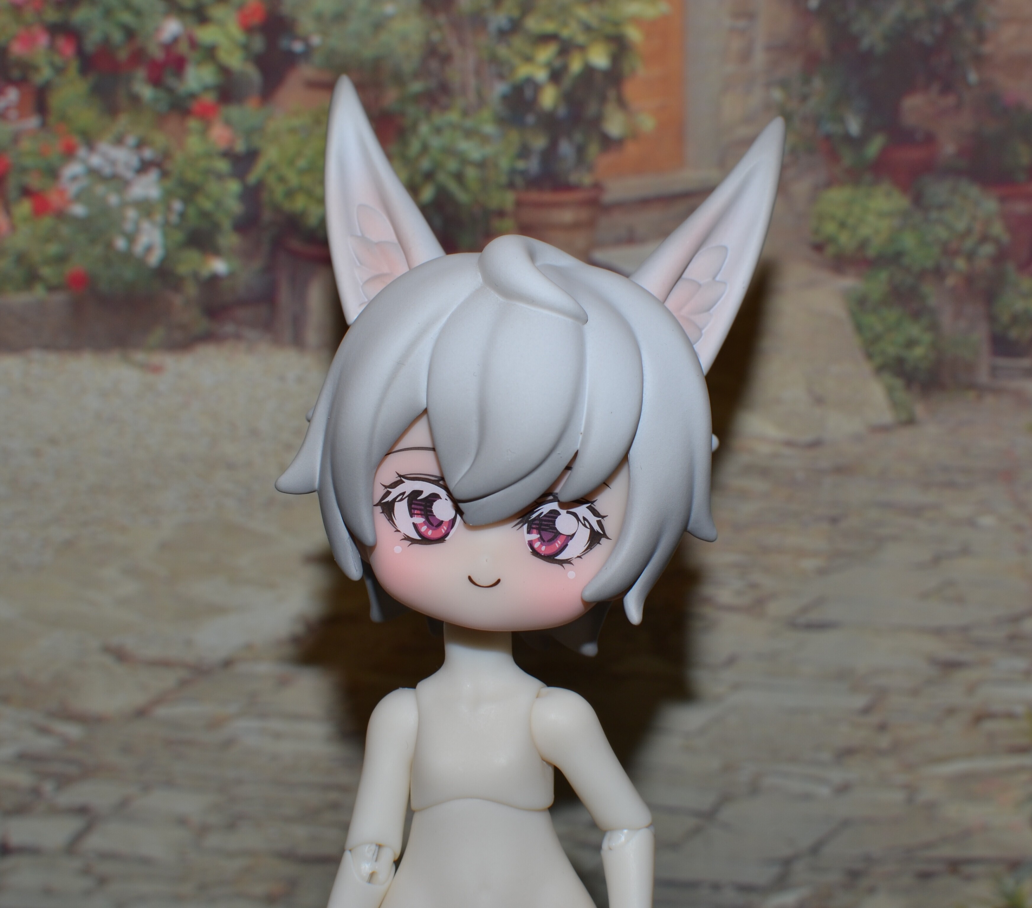 DSC 0735