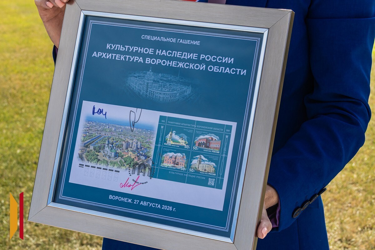 https://s1.radikal.cloud/2026/08/28/aaaaaaaaaaaaaadba3f6574034aac4.jpg